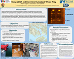 Using eDNA to determine Humpback Whale Prey by Rhayne Loggins, Jessica Glass, and Chris Gabriele