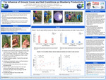 The Influence of Ground Cover and Soil Conditions on Blueberry Productivity by Jedidiah Fincher, Kendall Martinez, and Katie Spellman