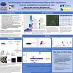 Functional Gene Abundance among Boreal Forest Sites by Maura Grahek and Mario Muscarella
