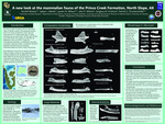 A new look at the mammalian fauna of the Prince Creek Formation, North Slope, AK by Xochitl Muñoz, Lauren Wilson, and Patrick Druckenmiller