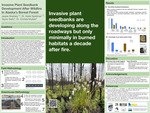 Invasive Plant Seedbank Development After Wildfire in Alaska’s Boreal Forest by Jessie Skalisky and Katie Spellman