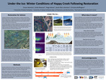 Winter Conditions of Happy Creek following Restoration by Grace Veenstra and Christina Buffington