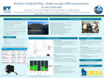 Bivalves in Jakolof Bay, Alaska occupy different positions in the food web by Irene (Queenie) Turner