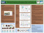 Microbial Response to Permafrost Thaw and Coalescence by Michelle Ramirez