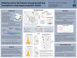 Modeling salmon life histories through growth and development using integral projection models by Grace Veenstra