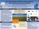 Does microclimate variation in tundra ecosystem drive microbial community assembly? by Aila Berrigan