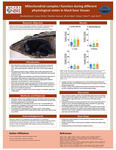 Mitochondrial complex I function during different physiological states in black bear tissues by Nivedita Menon