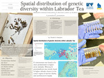 Spatial distribution of genetic diversity within Labrador Tea by Laura Serrato
