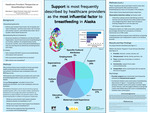 Healthcare Providers' Perspective on Breastfeeding in Alaska by Akela Byrne