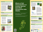 Effects of Soil Characteristics on Invasive Species Seed Bank Development after Wildfire by Ezekial Adams