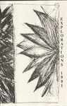 Explorations 1991 by Art Petersen and Ron Silva
