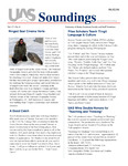 Soundings 2004-06-02 (v.17 no.8) by N/A N/A