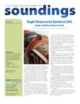 Soundings 2010-04 by N/A N/A
