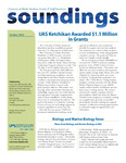 Soundings 2010-10 by N/A N/A