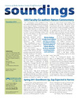Soundings 2010-12 by N/A N/A