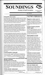 Soundings 1989-06-02 (v.2 no.22) by N/A N/A