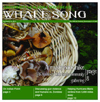 Whalesong 2017-11-08 by N/A N/A